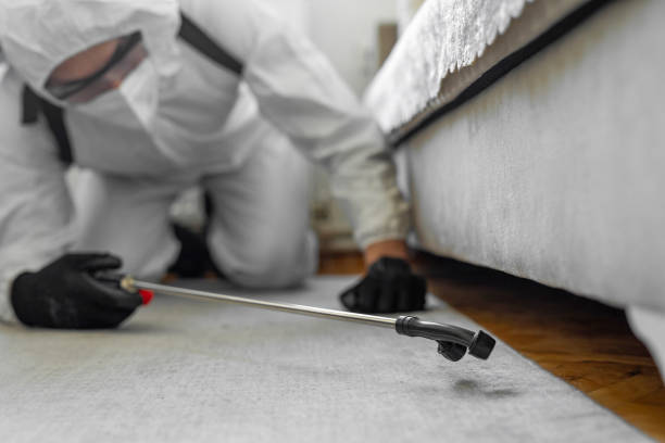 Professional Bed Bug Control technician working in Winooski, VT