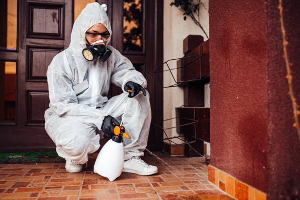 Reliable Bed Bug Control contractor in Winooski, VT by Nex Pest Control