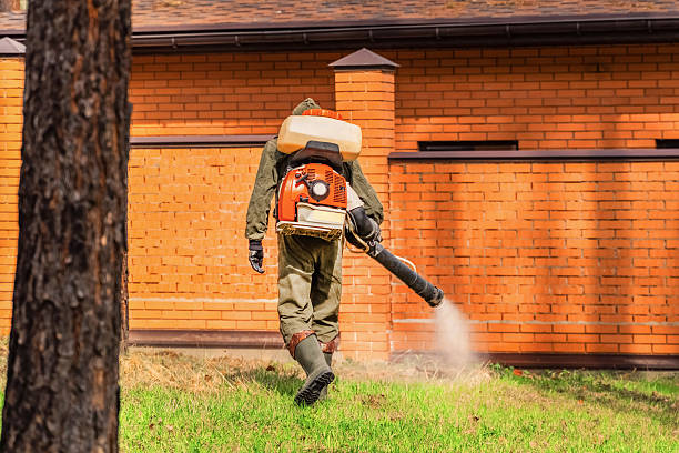 Trusted Termite Control service in Winooski, VT - Nex Pest Control